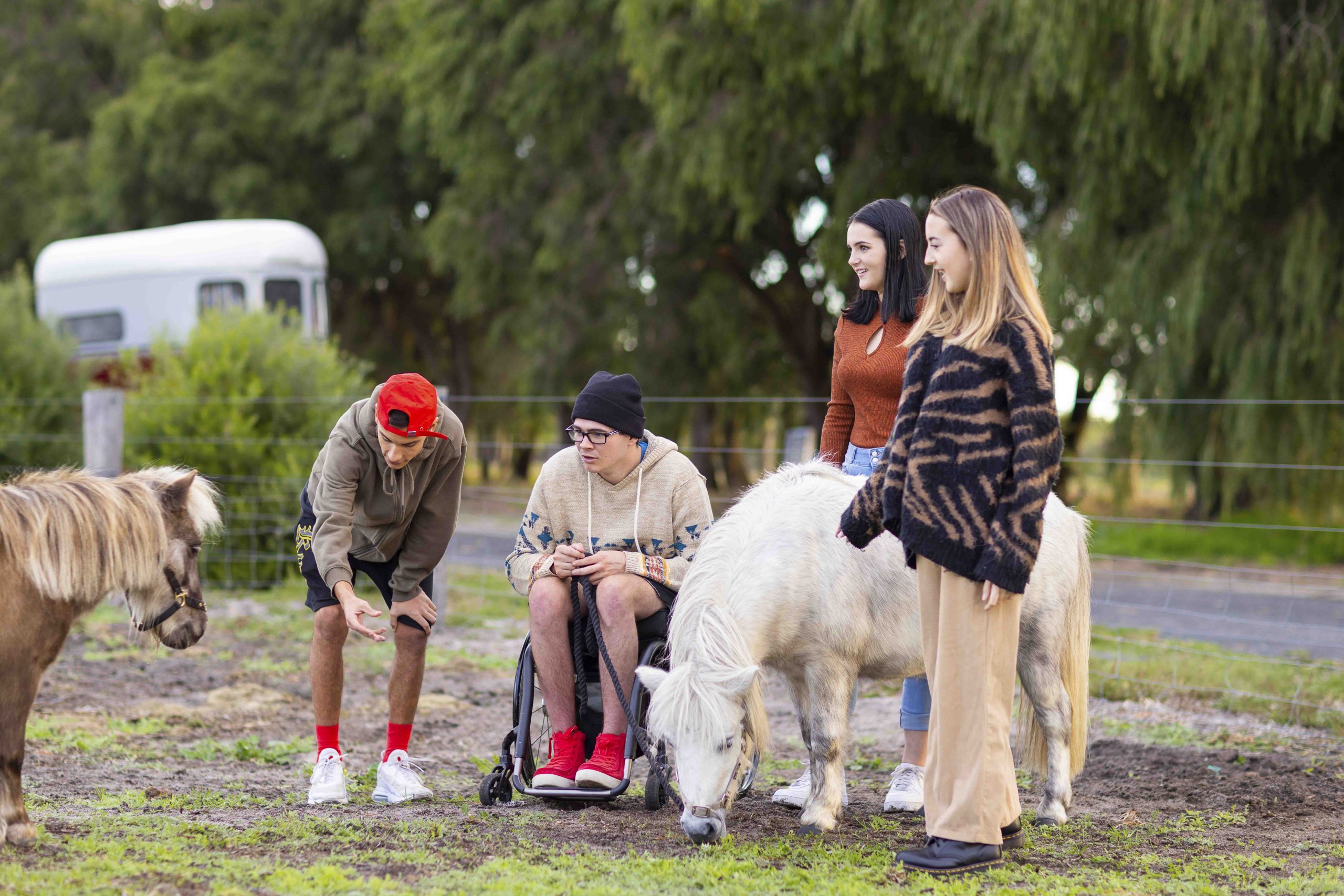 A group of young people including a Caucasian man in a wheelchair feeding miniature ponies